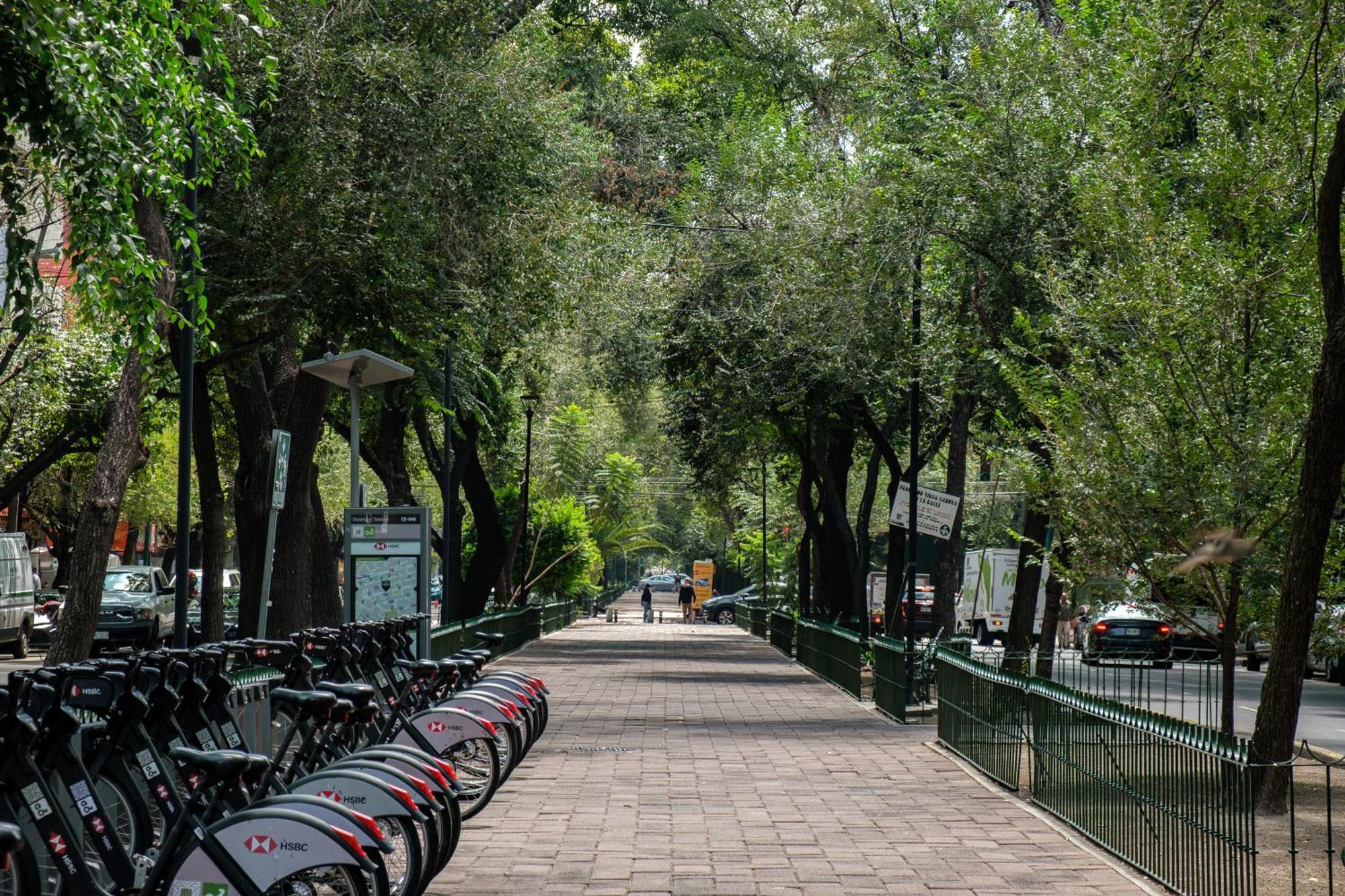 Nido Roma Norte Ciudad de México Exterior foto